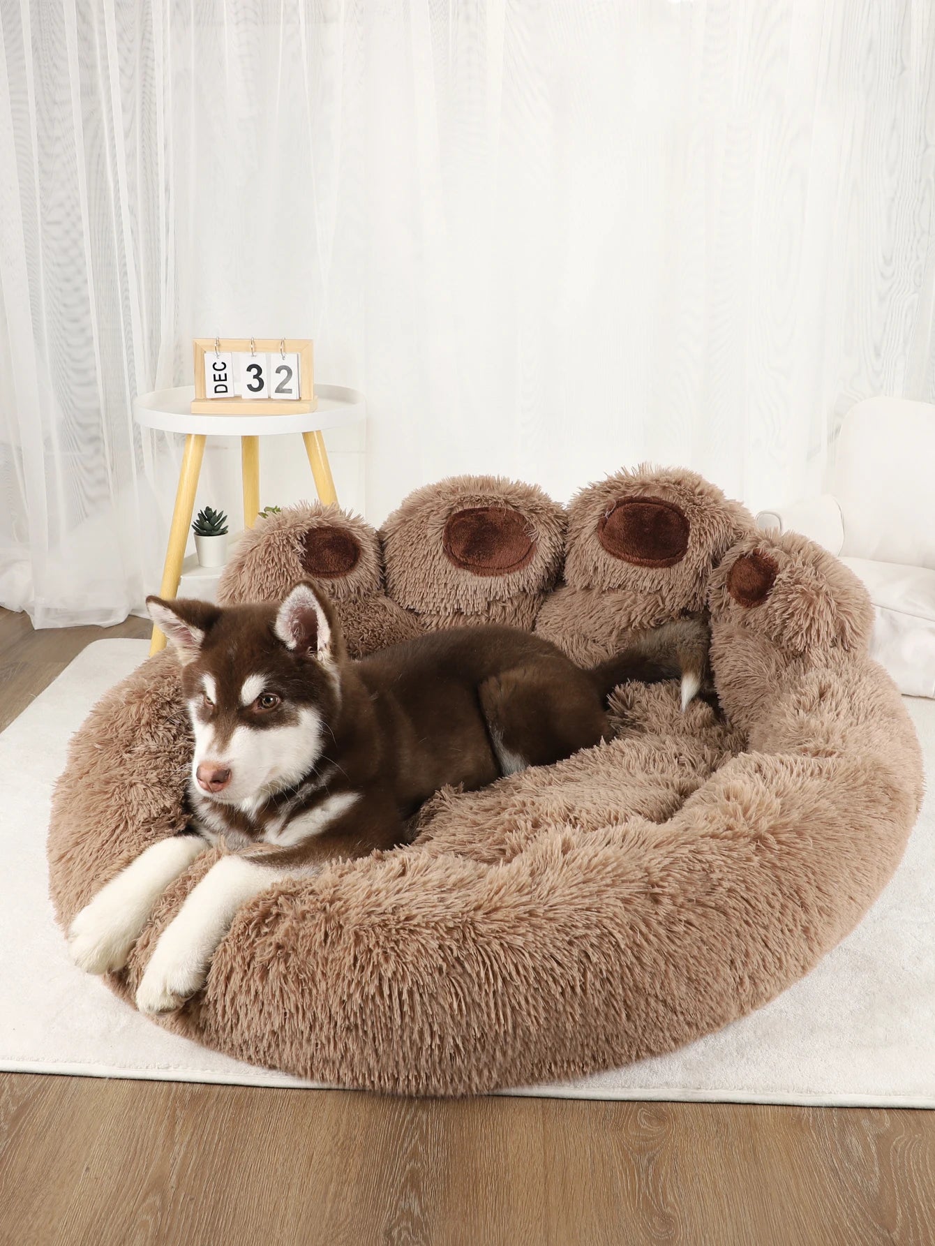 dog paw lounging bed