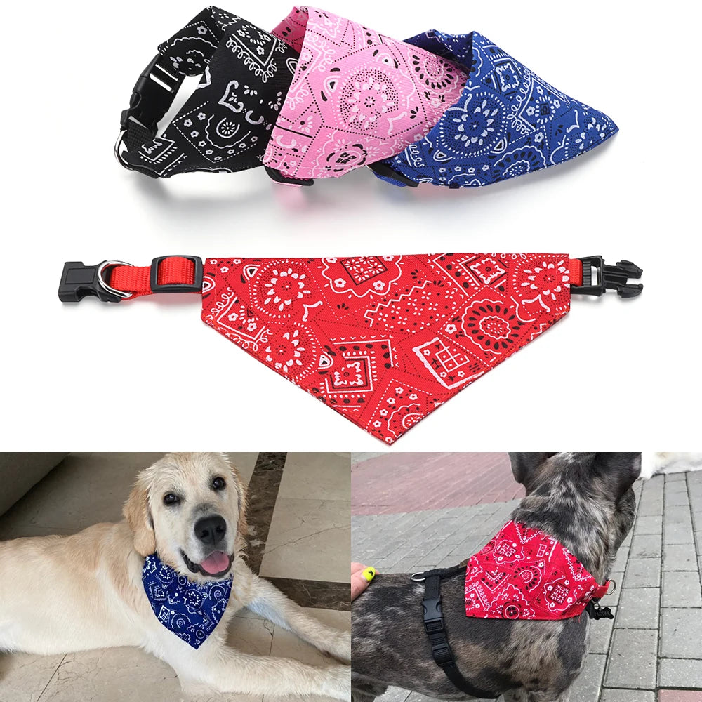 i dog bandana