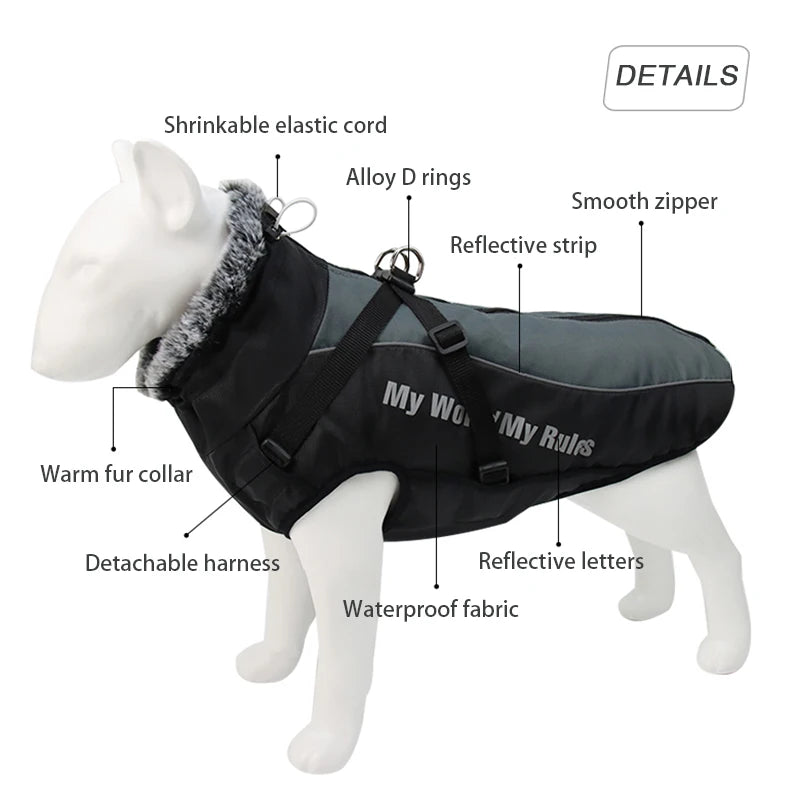 hold me dog jacket