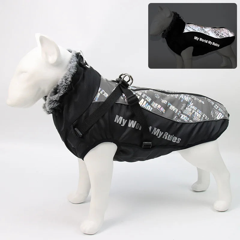 hold me dog jacket