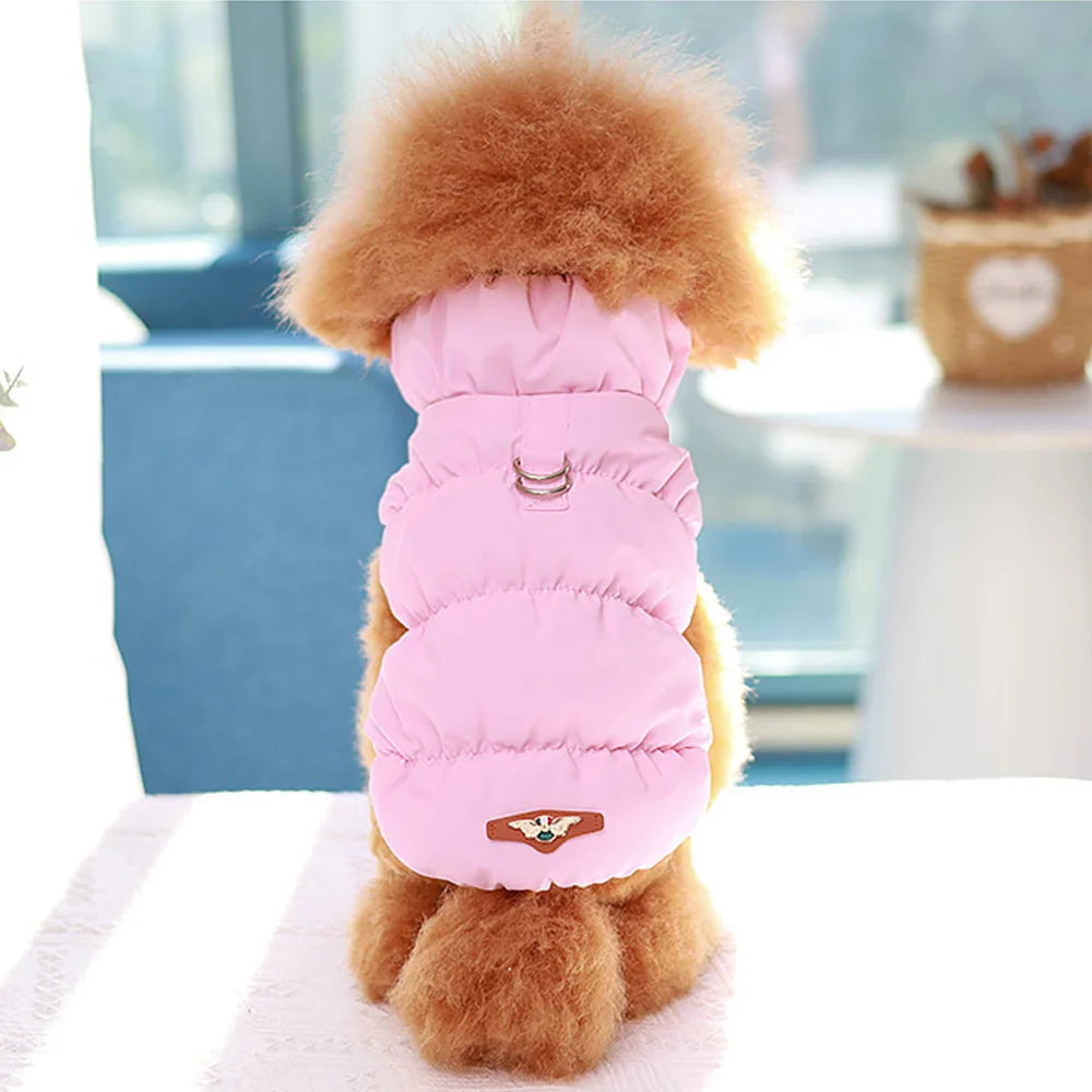 fashion house pet jacket