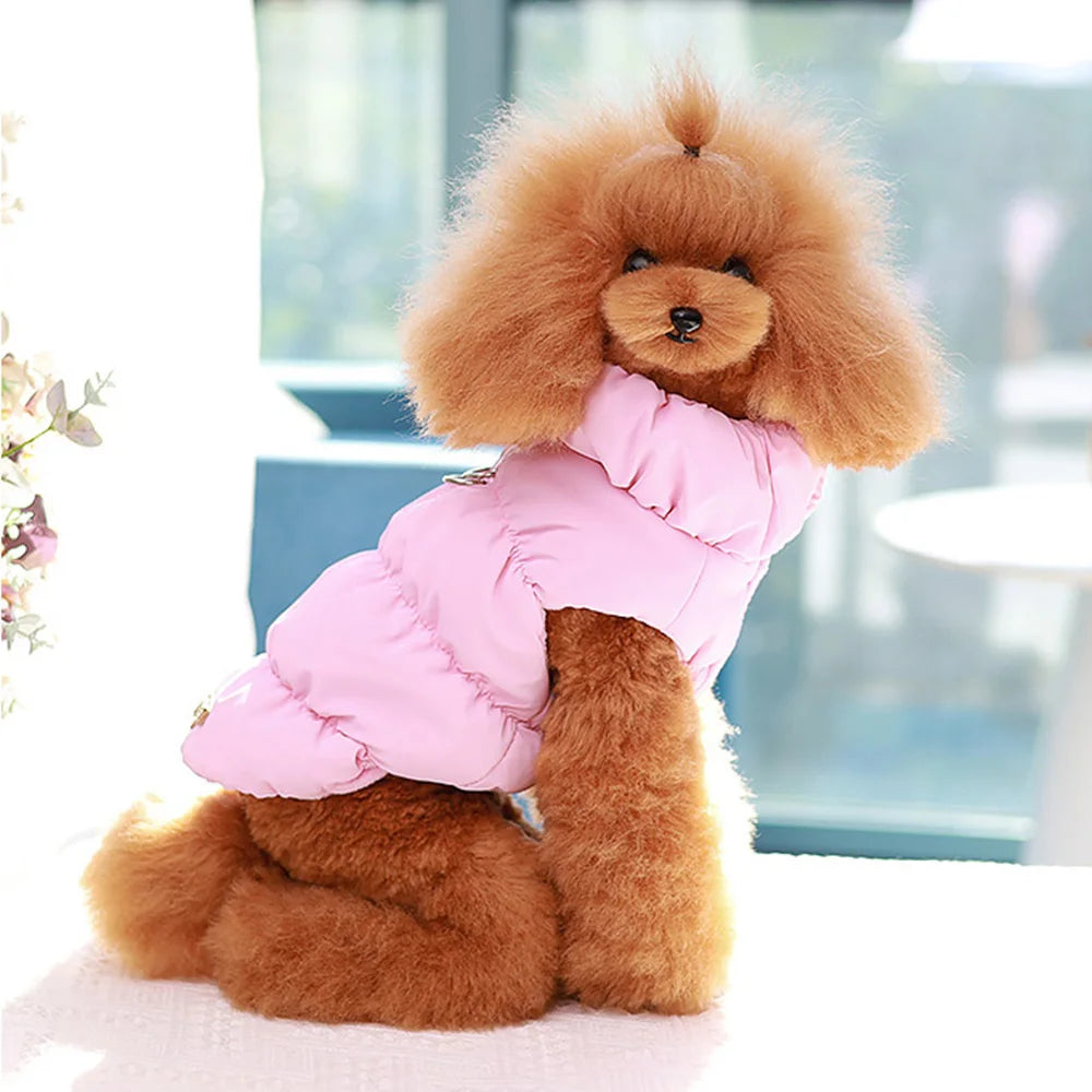 fashion house pet jacket