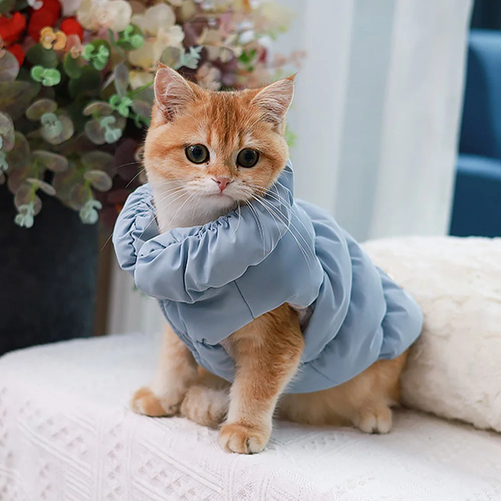 fashion house pet jacket