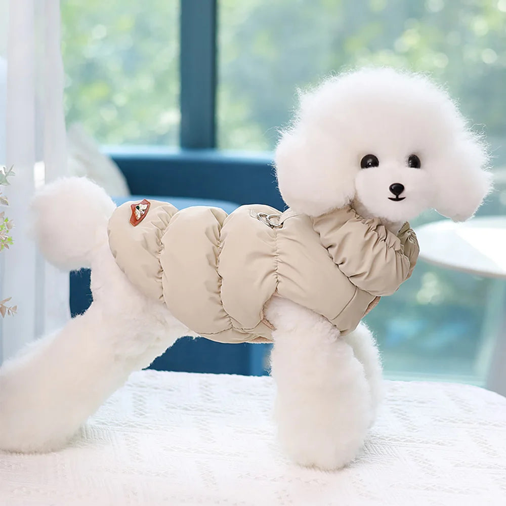 fashion house pet jacket