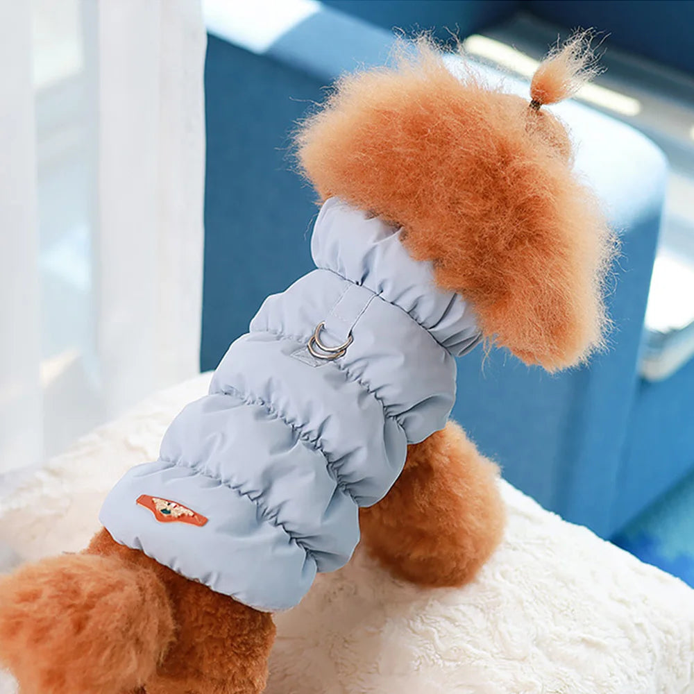 fashion house pet jacket