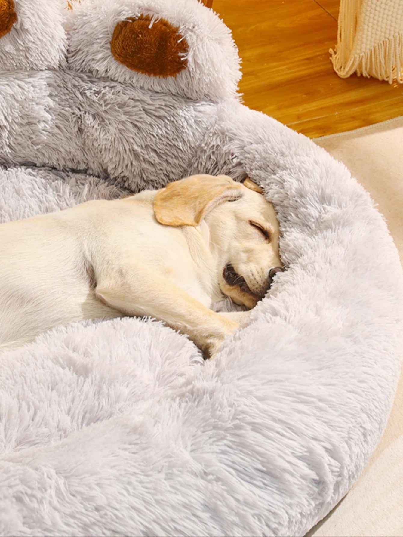 dog paw lounging bed