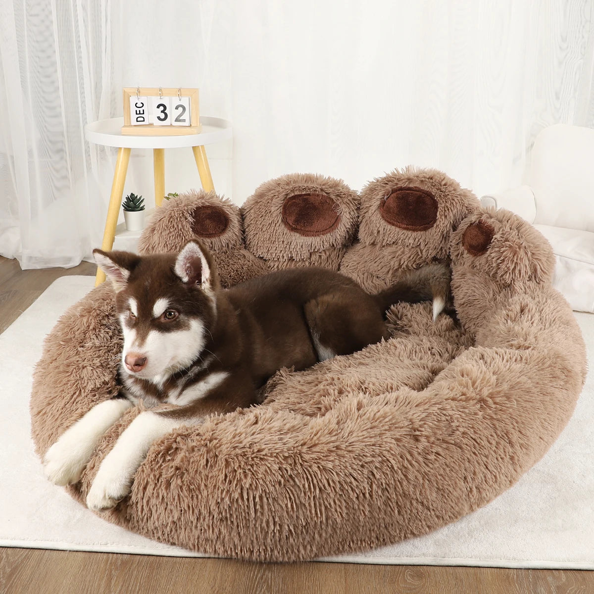 dog paw lounging bed