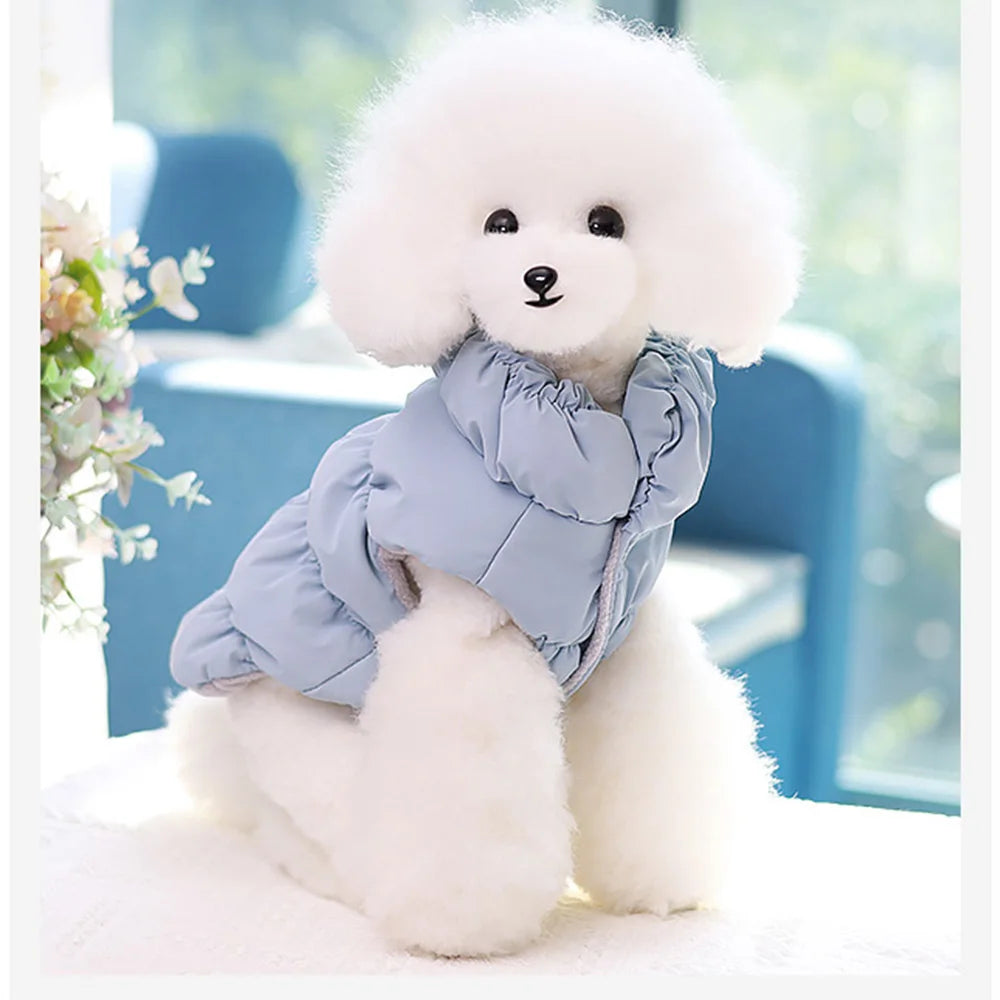 fashion house pet jacket