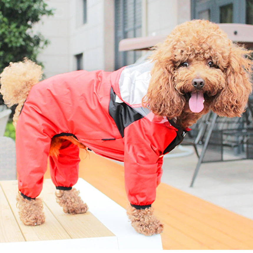 dog waterproof onesie