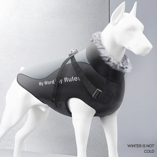 hold me dog jacket